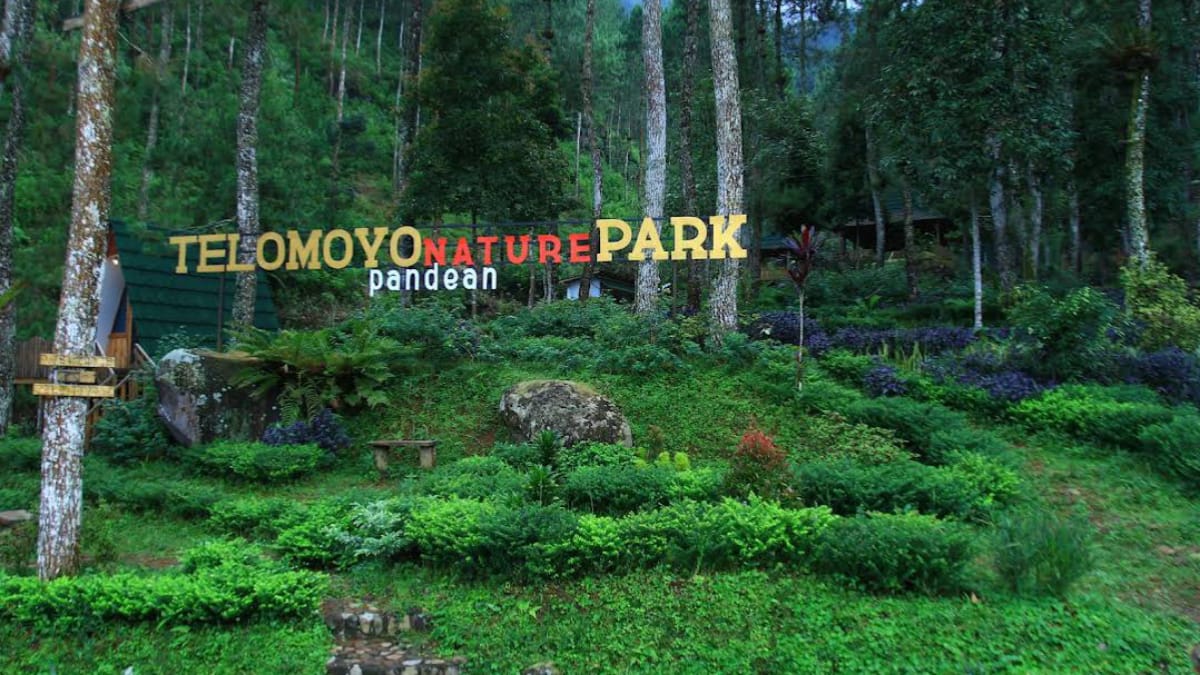 Telomoyo Nature Park: Surga Tersembunyi di Lereng Gunung Telomoyo